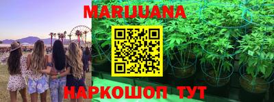 гидропоника Будённовск