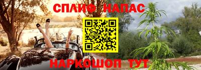 гидропоника Будённовск