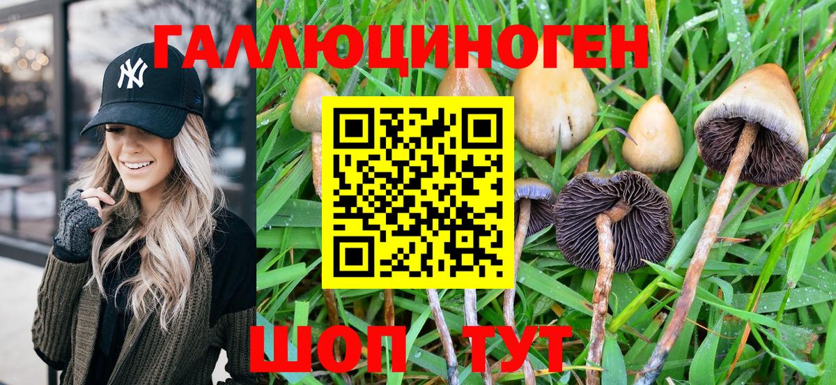 Усолье-Сибирское  Галлюциногенные грибы Psilocybine cubensis  Вход с VPN  Псилоцибиновые грибы Cubensis 